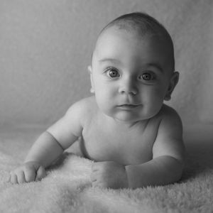 Segmento Baby